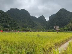 -靖西鹅泉风景区