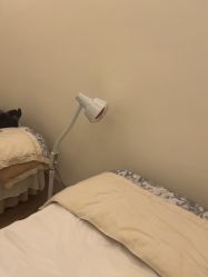 -苑苑vbeauty科技美容SPA