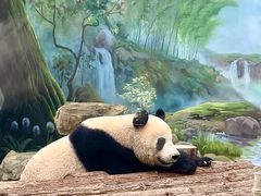 -杭州动物园