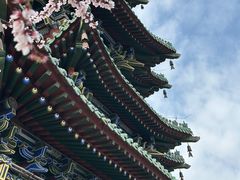 -迎泽公园