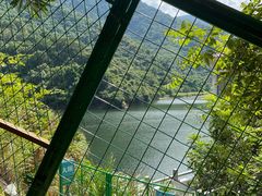 -梧桐山风景名胜区