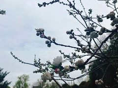 -狼山风景名胜区