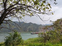 -羚羊峡古栈道森林公园