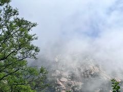 -泰山风景名胜区