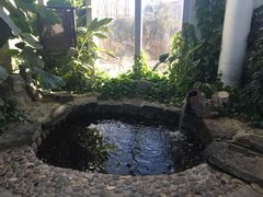 -中家鑫园温泉酒店鑫悦汤泉