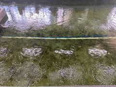 -光头佬室内钓虾场·烧烤·团建·亲子(中山八路店)