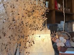 -Ginko银子(青龙街店)