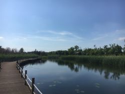 -水八仙生态园