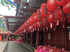 -新加坡佛牙寺龙华院