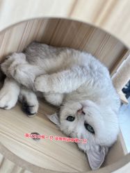 -熙.Hair 丨专注女子中长发丨