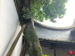 -福建省非物质文化遗产博览苑