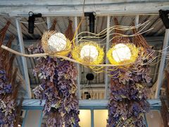 -喵屿·大理花园猫咖