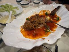 -丁老爷子苏香圆