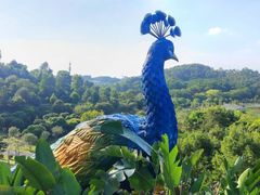 -东莞植物园