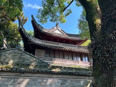 -天一阁博物院