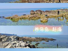 -养马岛旅游度假区