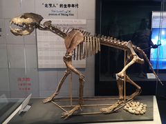 -北京周口店北京人遗址博物馆
