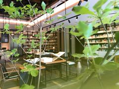 -深圳罗湖木棉花凯悦尚选酒店•大堂吧