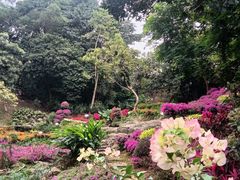 -桃花涧