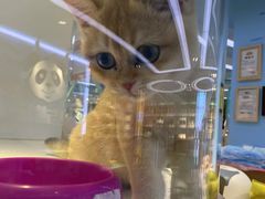 -龟与熊猫宠物公园(南坪店)