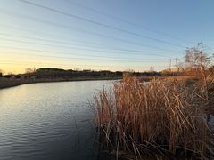 -昆山城市生态森林公园