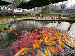 -成飞公园