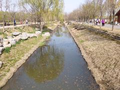 -东郊湿地公园