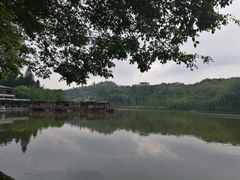 -三水森林公园