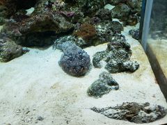 -鹿儿岛水族馆