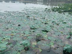 -雅和生态渔庄·宜城锅巴饭(龙灵山公园店)