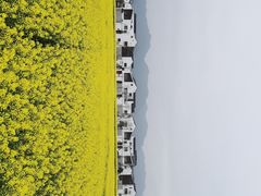 -东梓关景区村庄