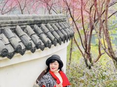 -重庆彩云湖湿地公园