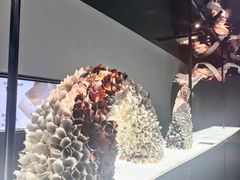 -上海虹桥中心爱琴海亚朵S酒店