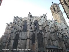 -巴塞罗那主教座堂