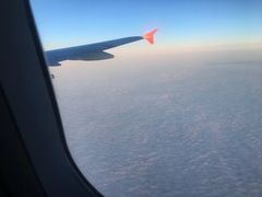 -谢列梅捷沃国际机场