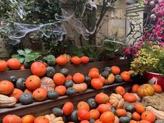 -Osteria Garden 生蚝花园餐厅(原进贤路店)