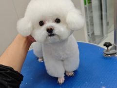 -心仪动物医院·牙专科·肿瘤·心脏科(西客站院)