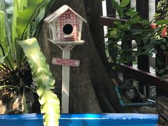 -清迈女子监狱马杀鸡(无分店)