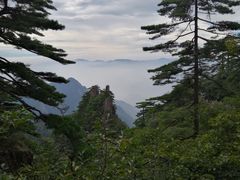 -上海长途客运南站