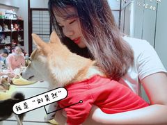 -逗柴咖啡屋·狗咖猫咖宠物桌游