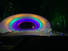 -枫花园汽车电影院(朝阳公园店)
