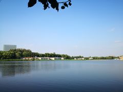 -大兴滨河森林公园