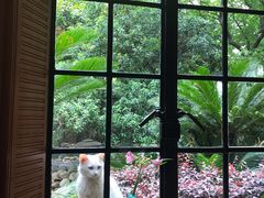 -马勒别墅·中餐厅