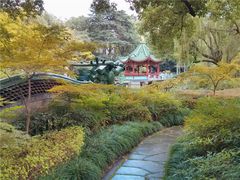 -申粤轩酒楼·三十年粤菜经典(丁香花园店)