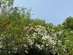 -寅春老卤面(长亭街店)