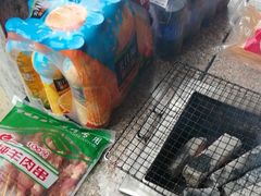 -吴淞炮台湾湿地森林公园烧烤区