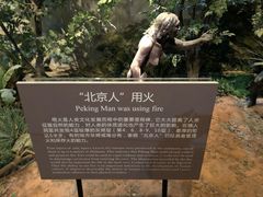 -北京周口店北京人遗址博物馆