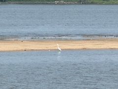 -人民防洪胜利纪念塔