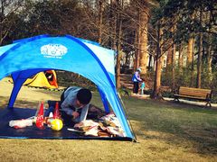 -苏州河梦清园环保主题公园