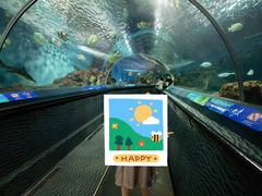 -上海海洋水族馆